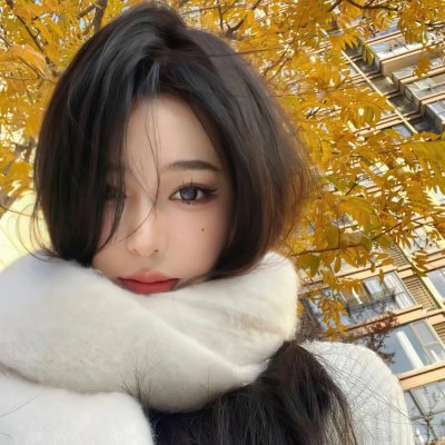 飞行之翼